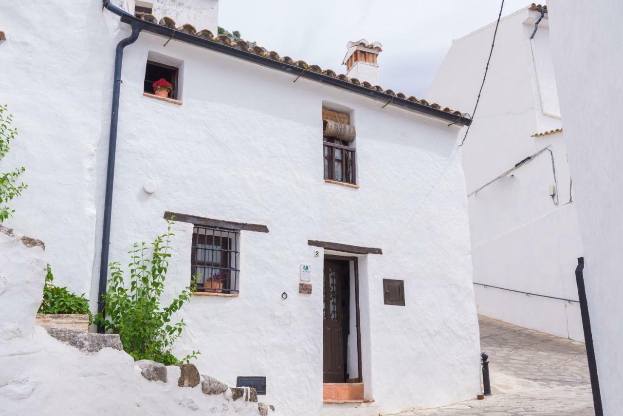 Conjunto Rural Casa Victoria Casa de hóspedes Villaluenga Del Rosario Exterior foto